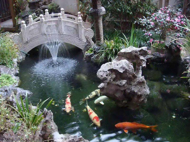 全自動(dòng)過濾消毒系統(tǒng)