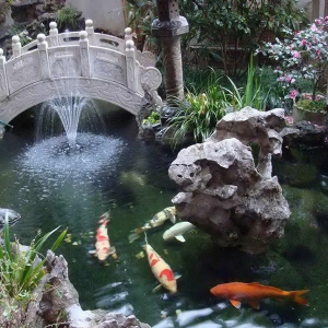 全自動(dòng)過濾消毒系統(tǒng)