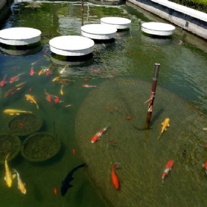 全自動(dòng)過(guò)濾消毒系統(tǒng)