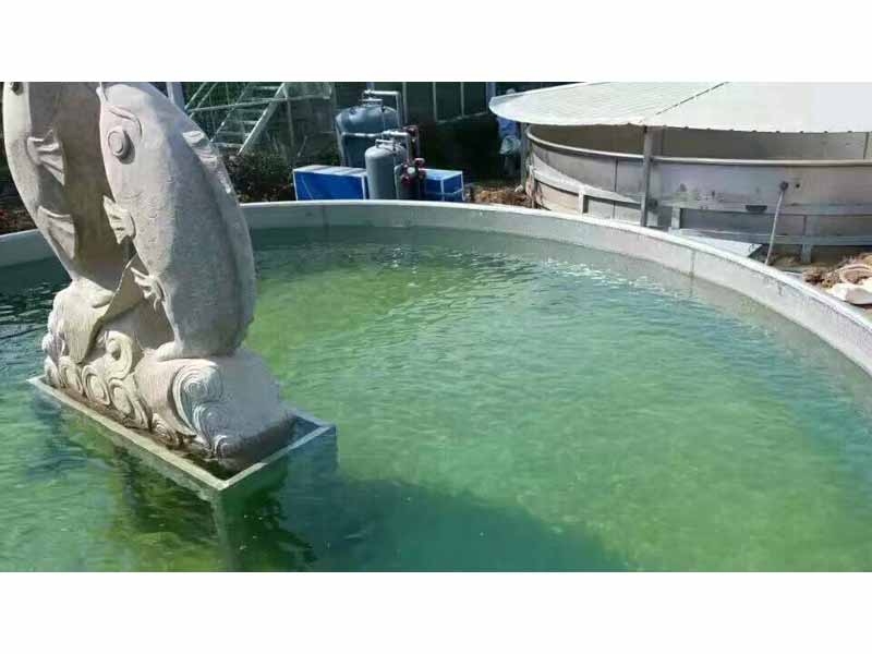 全自動循環(huán)水設(shè)備