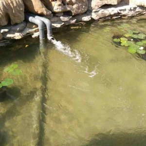 魚池過濾器客戶實地效果展示